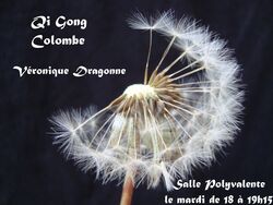 qi gong foyer des jeunes colombe